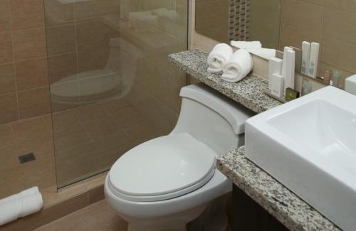 David Hotel | Aranjuez Hotel & Suites