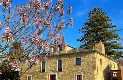 Barreiros Casa | Araucaria House