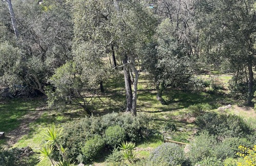 Saint-Raphael Casa | Architect-designed house set in greenery, in a quiet location.