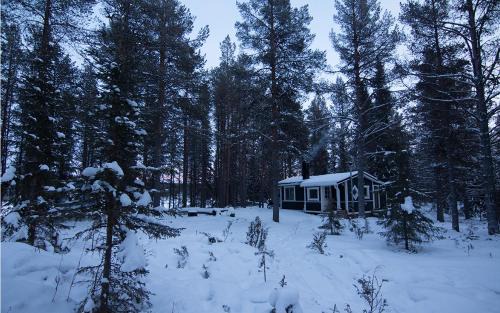 Jukkasjarvi Cabina | Arctic Island - Remote island, reachable only by boat or snowmobile