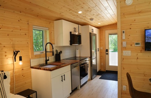 Revelstoke Hotel | Arctic Lodge - Alpha Mountain Loding