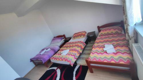 Novi Sad Hotel | Arena