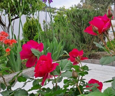 Ierapetra Casa | Arhondia House