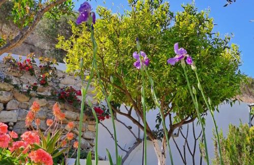 Ierapetra Casa | Arhondia House