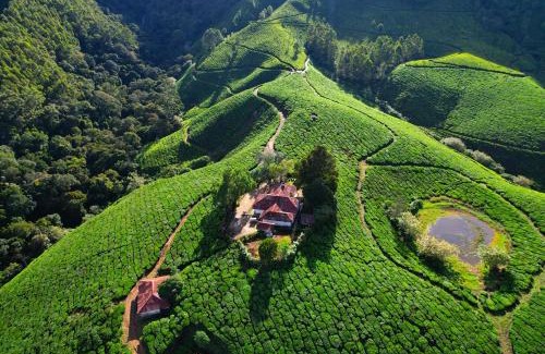 Kannan Devan Hills Casa | Arivikad Tea Bungalow Munnar By VOYE HOMES