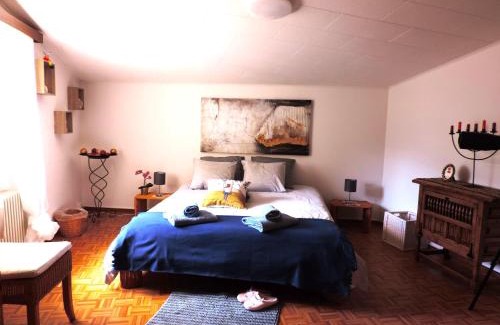 Foroglio Apartamento | Armonia edificio storico del 1563.