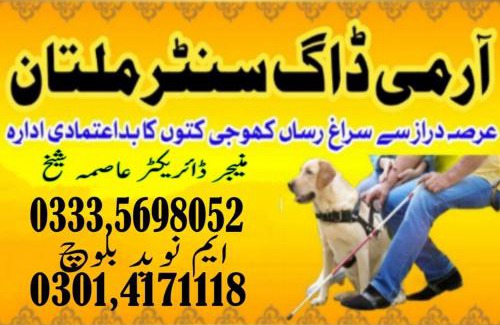 Faisalabad Apartamento | Army Dog Center Faisalabad