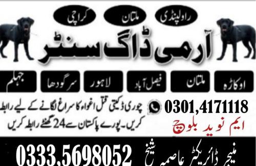 Faisalabad Apartamento | Army Dog Center Faisalabad
