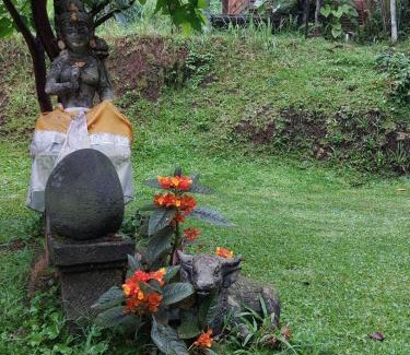 Tegallalang Casa | Arnata Guest House & Pasraman Yoga Lokanata