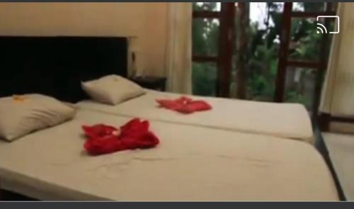 Tegallalang Casa | Arnata Guest House & Pasraman Yoga Lokanata