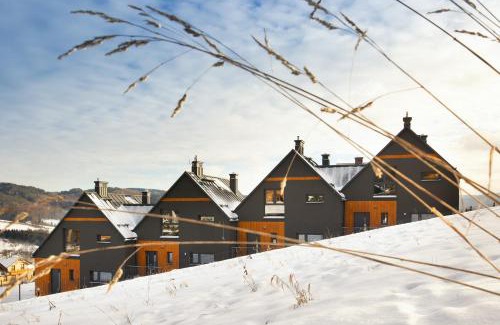 Krynica-Zdroj Casa | Aroma Domki - Krynica Zdrój