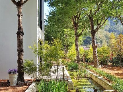 Shitan Casa | Aroundthetree Hermitage