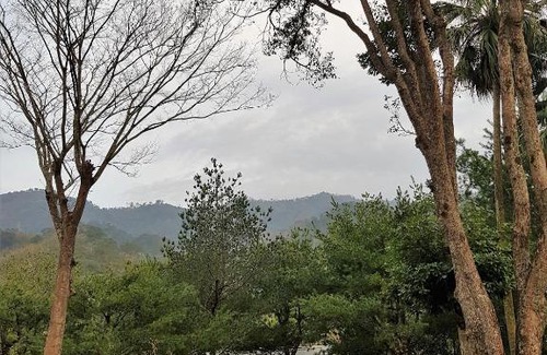 Shitan Casa | Aroundthetree Hermitage