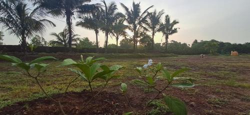 Devbag Casa | Arpita FarmStay