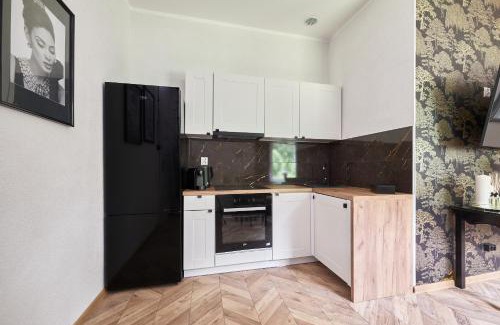 Gluszyca Apartamento | Art Apartment Grzmiąca
