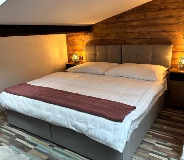Frydek-Mistek Apartamento | ART hotel MAXIM