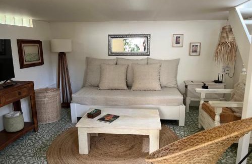 Coyoacan Apartamento | Artisanal Loft Coyoacan