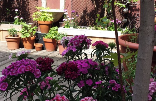 Chelsea Apartamento | Artists loft in Hudson Yards area New York , AC, WiFi and roof deck