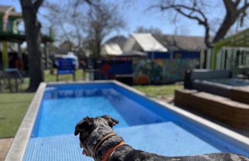 Chestnut Casa | Artsy East Austin Hideaway