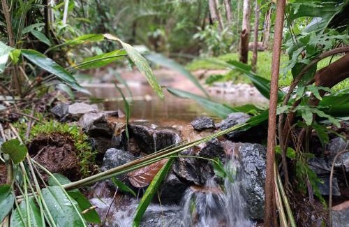 Acu da Torre Cabina | Aruá Observação de Vida Silvestre
