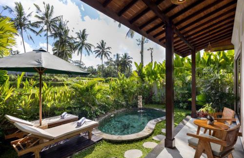 Tegallalang Complejo | Arvanya Villa Ubud