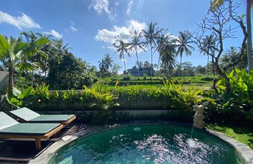 Tegallalang Complejo | Arvanya Villa Ubud