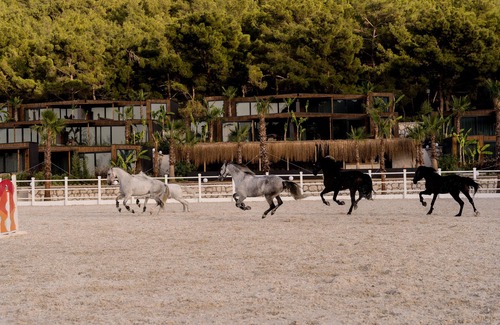 Urla Chalet De Esquí | Asha Country