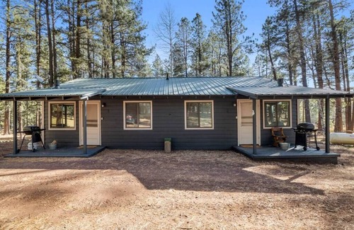 Greer Cabina | Aspen Cabin 2 Summary