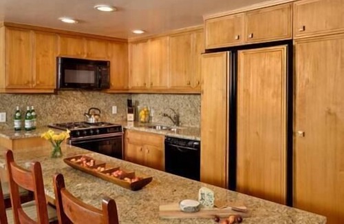 Aspen Apartamento | Aspen Core Condo, Next to Gondola, Great Location