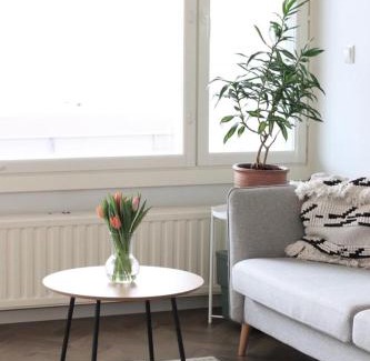 Lahti Apartamento | Asunto Koivunoksa