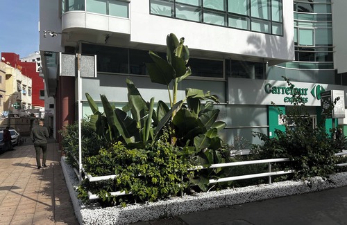 Casablanca City Center Apartamento | At home in the heart of Casablanca