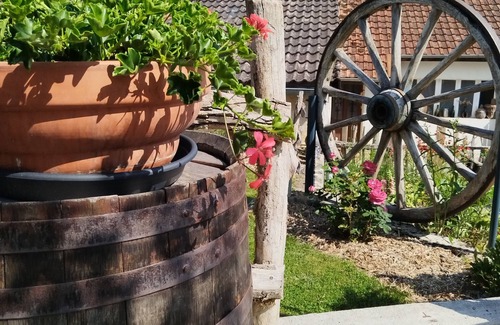 Cunfin Casa | At the foot of the Champenois vineyards house situated between vineyards and the Champenois forest
