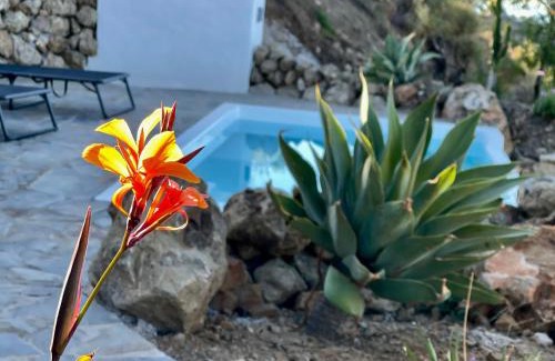 Malaga-Este Villa | Atalaya