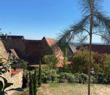 Gleiszellen-Gleishorbach Casa | Atelier de Pfalz-Loftstyl mit Pfalzblick