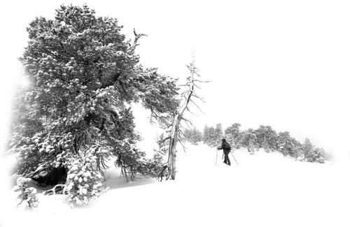 Arette Otro | atipic lodge