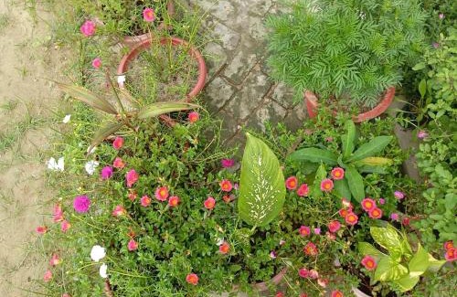 Faizabad Casa | Atithi home stay and Cloud Kitchen
