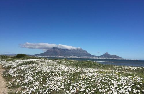 Cape Town Villa | Atlantic Blue Villa at Pilots