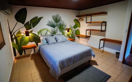 Colon Cabina | Atlantic Side Private Tropical Paradise - Panama Canal