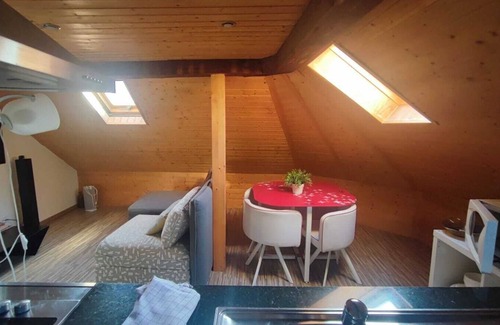 Sihlfeld Apartamento | Attic loft with rooftop terrace!