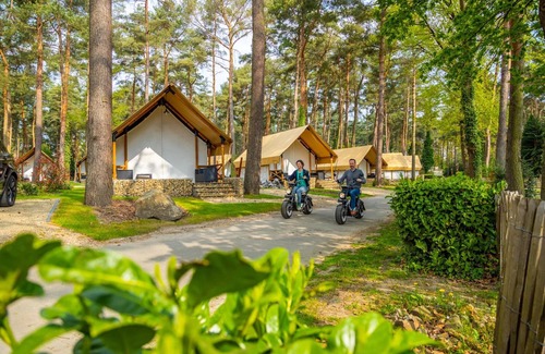 Zutendaal Alquiler De RV | Attractive Tent Lodge Maastricht at 16 km