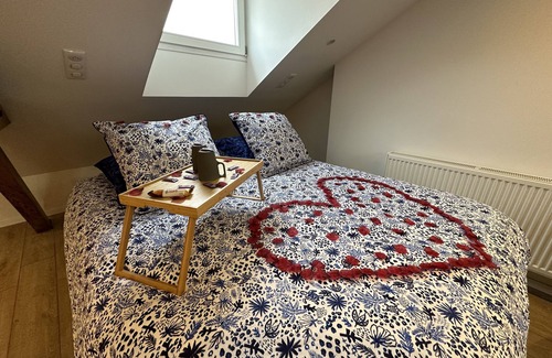 Nouvelle Ville Casa | Atypical luxury attic - Gare Metz district