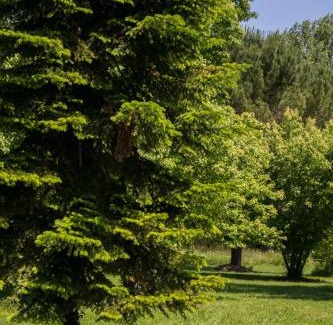 Issigeac Casa | Atypique ancienne gare d'Issigeac,piscine privée,pétante,grand terrain