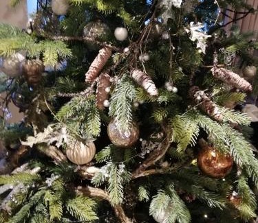 Bouillon Casa | Au charme du 13 Faubourg de France à Bouillon, déco fêtes de fin 2025 à partir du 27 novembre