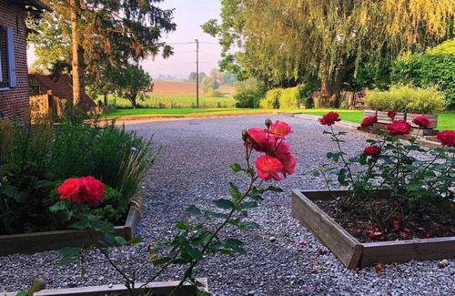 Saint-Jans-Cappel Cabaña | Au coin du loup, Flemish bed and breakfast on the Franco-Belgian border, in the heart of the mountains