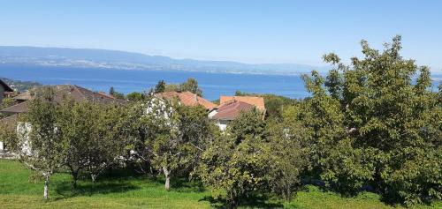 Publier Cama Y Desayuno | Au coucher du lac