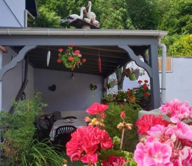 Klingenthal Casa | Au nid de la foret