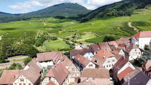 Saint-Hippolyte Apartamento | Au pied du Haut Koenigsbourg 2