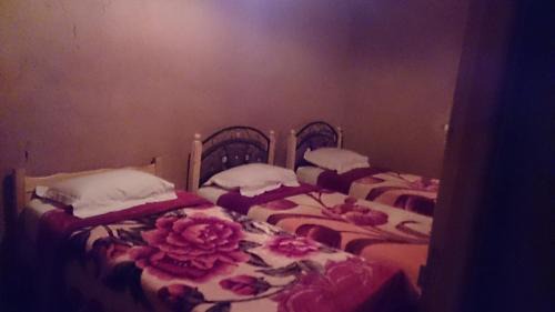 Nekob Cama Y Desayuno | Auberge Bassou