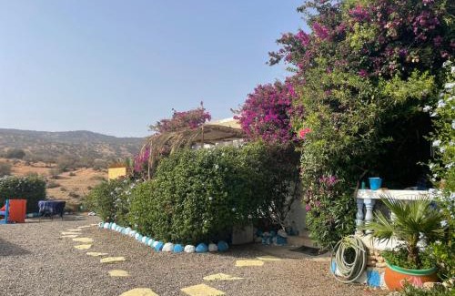 Tamri Cama Y Desayuno | Auberge Villa des Jasmins
