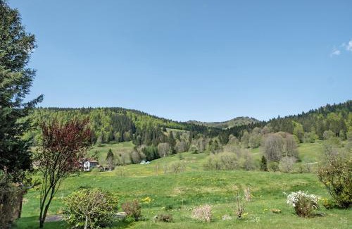 St. Blasien Apartamento | Aufblühen in Menzenschwand